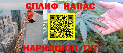 крисы Краснознаменск