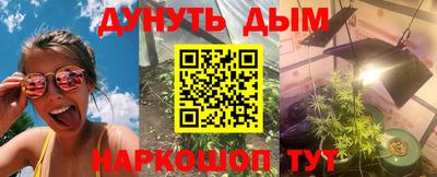 крисы Краснознаменск