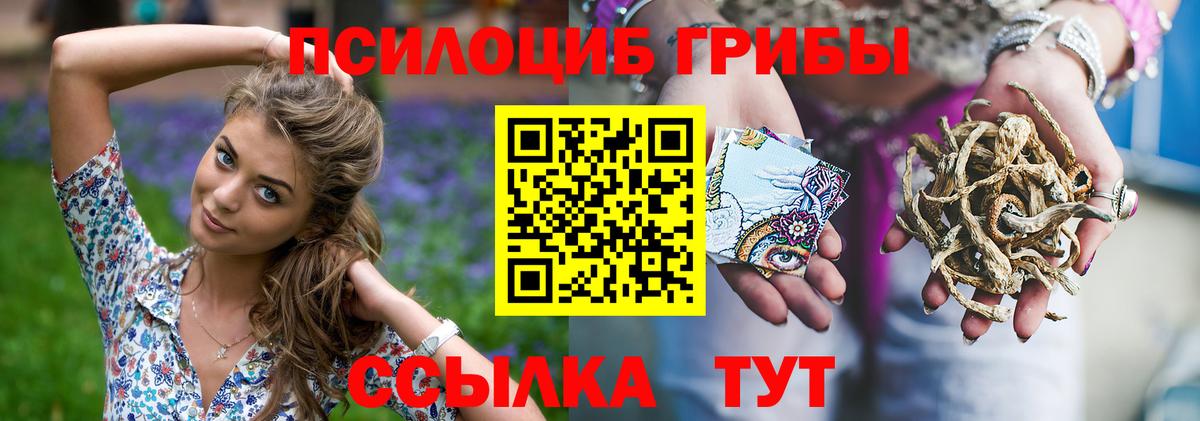 где можно купить   Псилоцибиновые грибы GOLDEN TEACHER  Вход с VPN  Кизилюрт  Галлюциногенные грибы Cubensis 